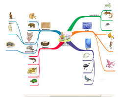 سازمان دهنده های گرافیکی سازمان دهنده ها